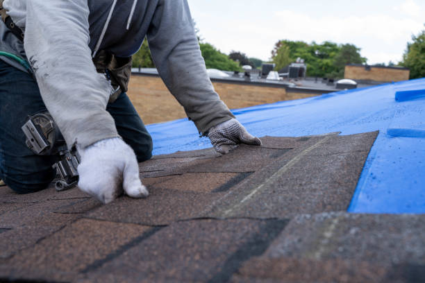 Roof Gutter Cleaning in Howell, MI